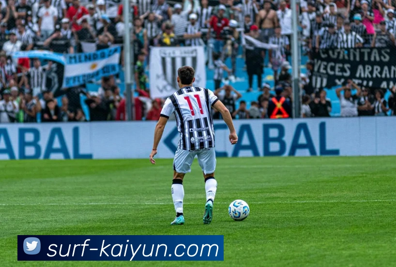 开云appAPP 封面图